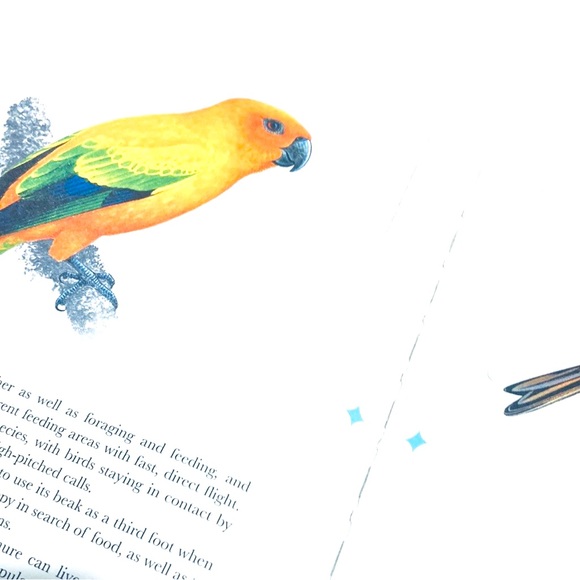 The Aviary by Matt Merritt Press Out Bird Book ISBN 978-1-6842-578-4 - Picture 4 of 8